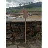 Cabeça de Cavalo